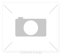 Large_no_image